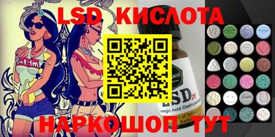 крисы Кулебаки