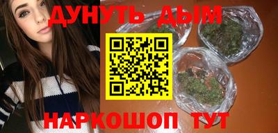 крисы Кулебаки