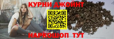 крисы Кулебаки