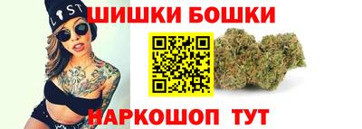 крисы Кулебаки