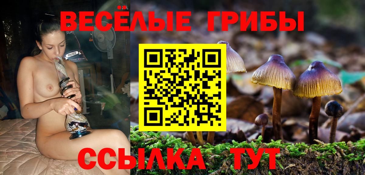 даркнет сайт  Вход с VPN  Избербаш  Галлюциногенные грибы Psilocybine cubensis 